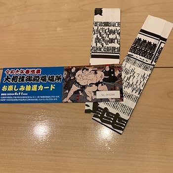 巡業パンフレット 令和7年夏巡業 大相撲立川立飛場所パンフレット取組表うちわ大人